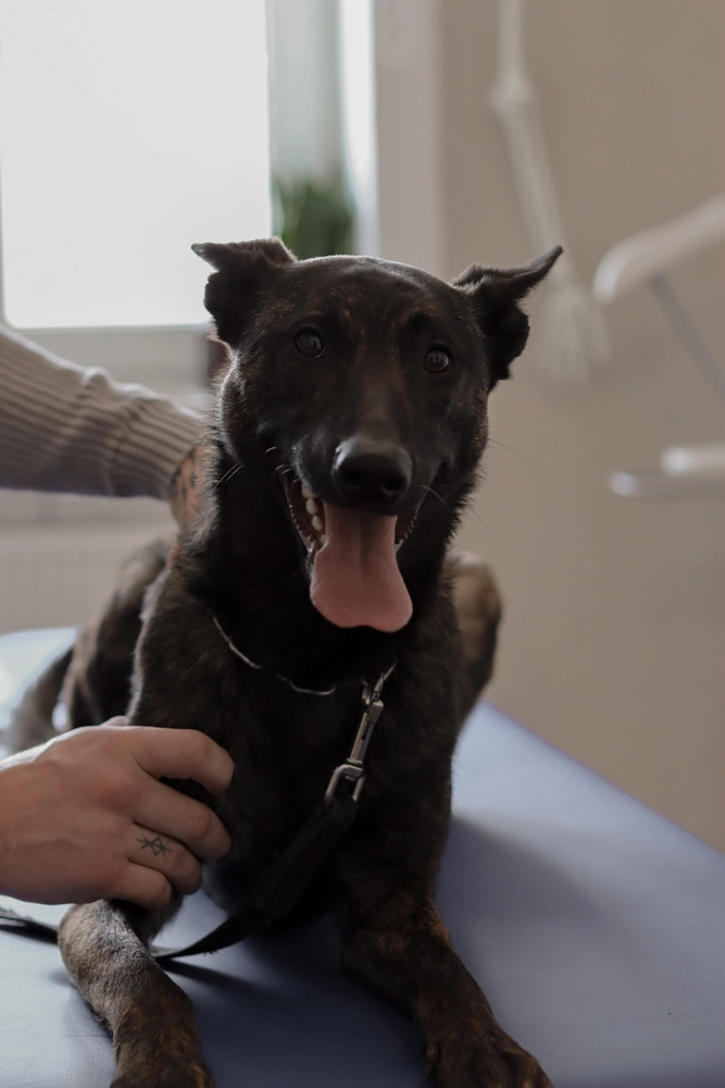 LPZ-Hübner - Physiotherapie und Lymphdrainage - Skadi