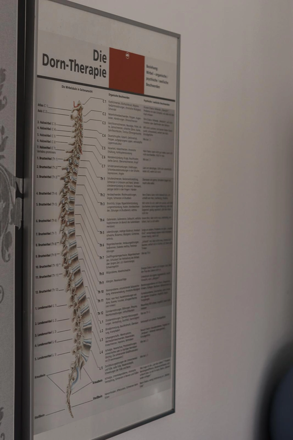 LPZ-Hübner - Physiotherapie und Lymphdrainage - Ein Informationsplakat mit dem Titel „Die Dorn-Therapie“, das eine Abbildung der menschlichen Wirbelsäule und eine Tabelle zeigt, die bestimmte Wirbel mit physischen und psychischen Symptomen in Verbindung bringt.